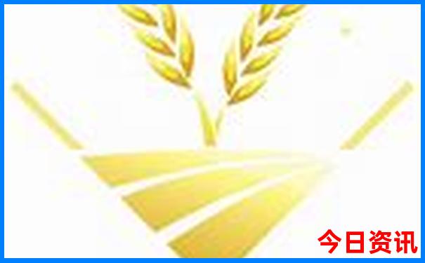 暑假带孩子去上海旅游攻略